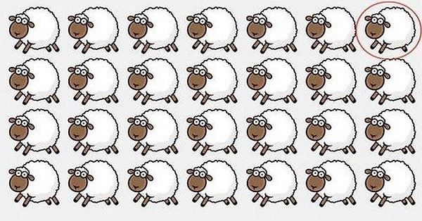 А ножку-то она спрятала: