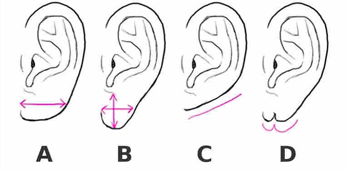 Тест: Найдите форму мочки вашего уха, а мы расскажем, как вы ведете себя в отношениях