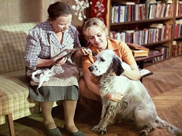 1. Откуда этот кадр?