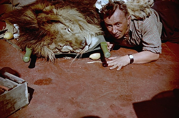 2. А что насчет этого момента?