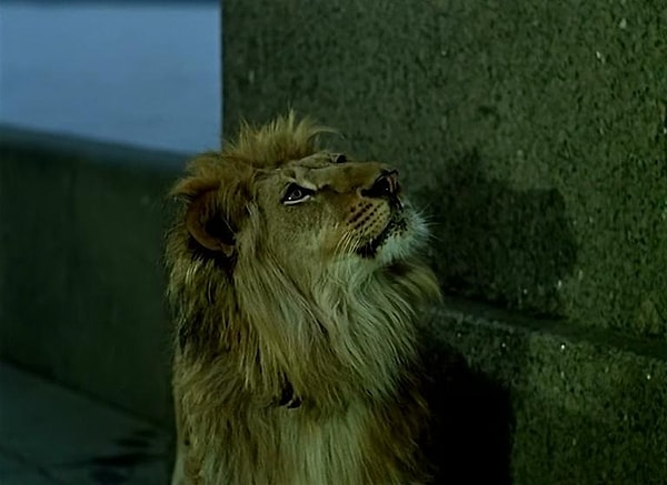 6. Из какой картины этот лев?