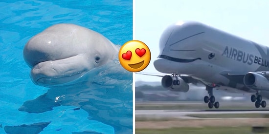 А вы уже видели новый самолет, который выглядит как огромный летающий кит?