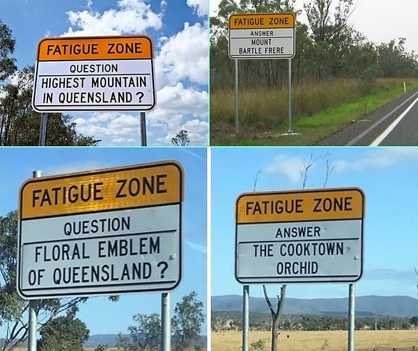 7. В Австралии существует практика, позволяющая уменьшить количество аварий по вине заснувших за рулем водителей.