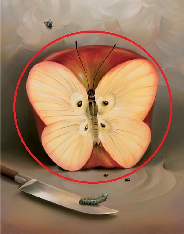 Вы увидели первой бабочку