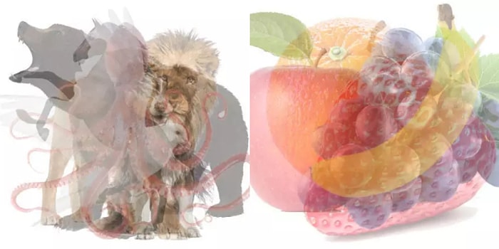 Bu Görsel Algı Testi ile Baskın Kişilik Özelliğini Söylüyoruz!