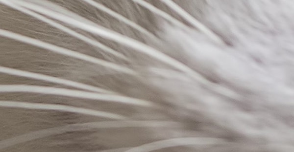 2. Очень хорошо подумайте