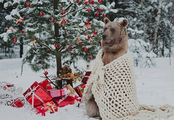 11. Настоящая зимняя сказка ❄️
