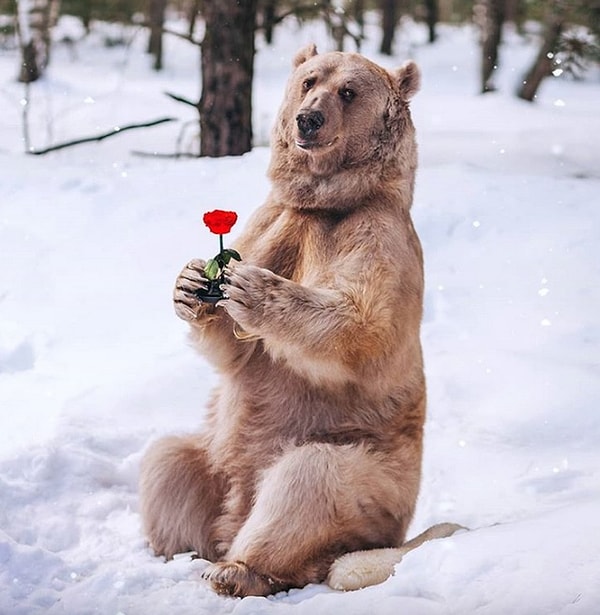 14. Ведь Степан - настоящий джентльмен 😌