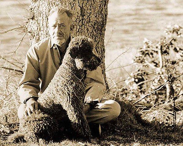 7. John Steinbeck’in köpeği, dünyaca ünlü roman Fareler ve İnsanlar’ın orijinal taslağını yemiştir...