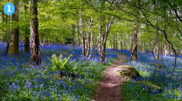 1. Если вы выбрали первую тропу: