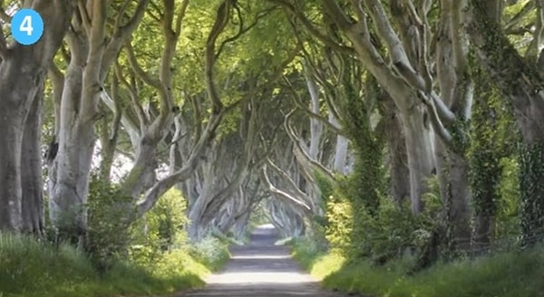 4. Если вы выбрали четвертую тропу: