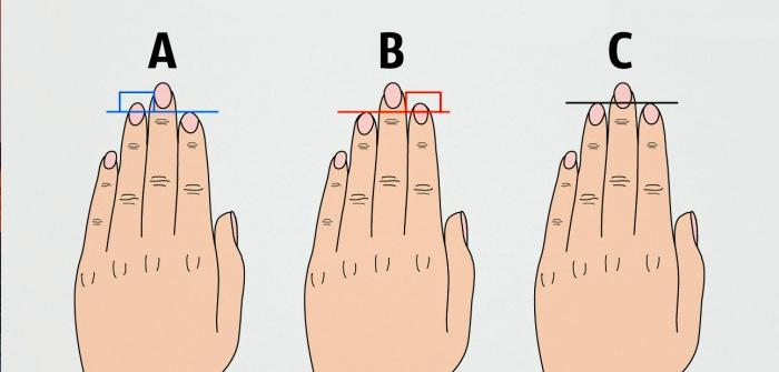 Тест: Сравните свою длину указательного и безымянного пальцев, а мы расскажем о том, как это влияет на ваш характер