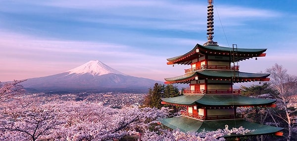 5. Япония до середины XIX века была закрытой страной, потому что...