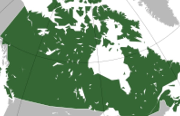 5. Это, конечно же, ....