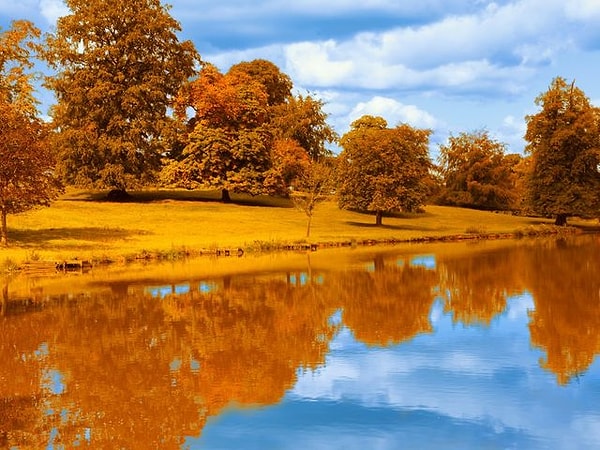 3. Что скажете насчет этого изображения?