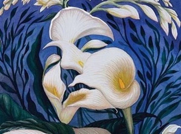 1. Что вы увидели первым на этой картинке?