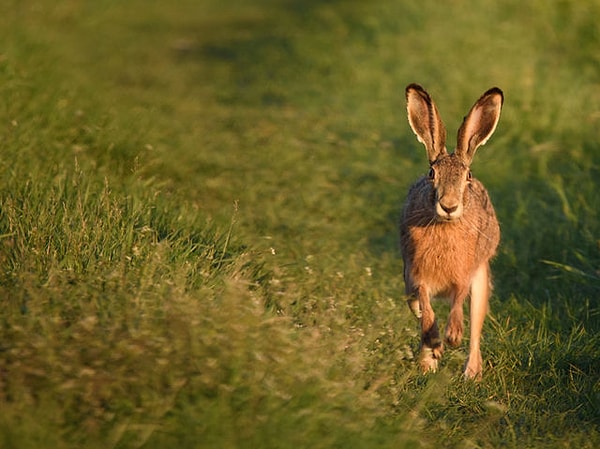 2. А где вы чаще всего встречаетесь с людьми?