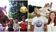 Photobombing At Its Finest: These Animal Trolls Will Make You Laugh Out Loud!