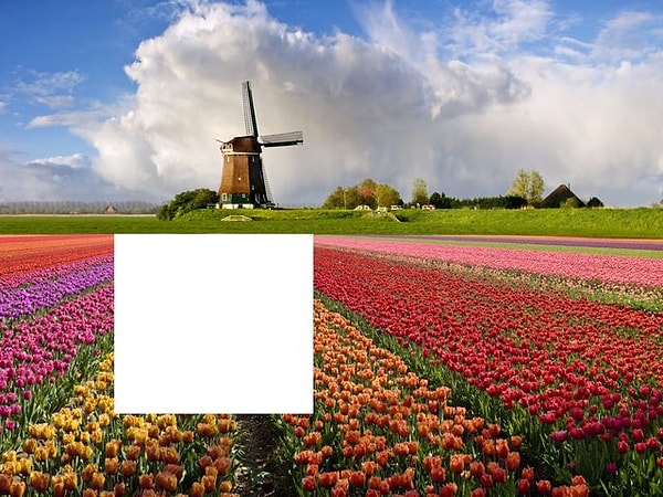 7. Какого куска на изображении не хватает?