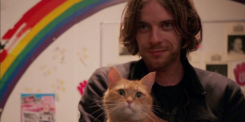 14 Overly Successful Adaptations That Completely Overshadowed Their Books 