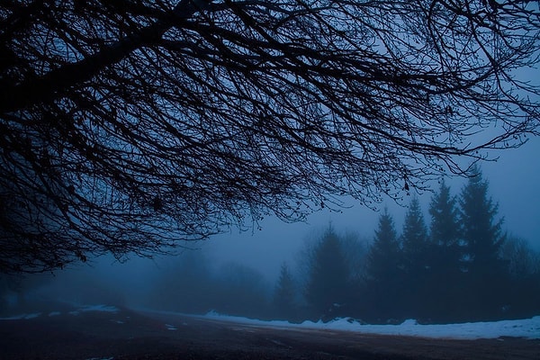 6. Когда наступает самая длинная ночь в году?