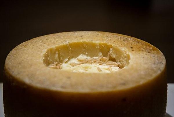 Casu Marzu - koyun sütünden yapılmış ve içerisinde canlı larvalar bulunan peynir