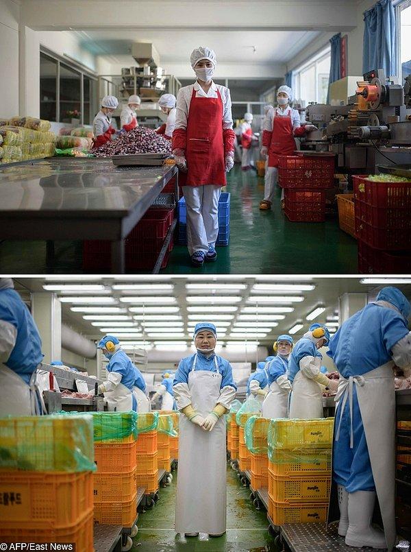 4. Wonsan'da çalışan Kuzey Koreli bir fabrika işçisi ve onun Chuncheon'daki Güney Koreli meslektaşı