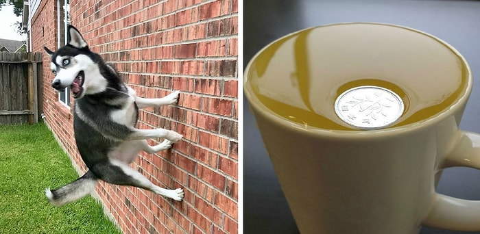 30 фото, на которых отрицается гравитация: смотрите на них дважды