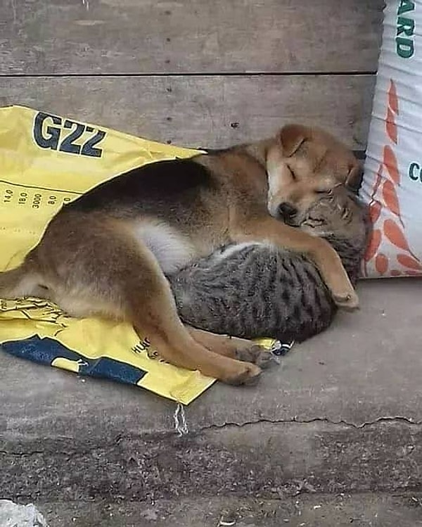 1. Погреемся?