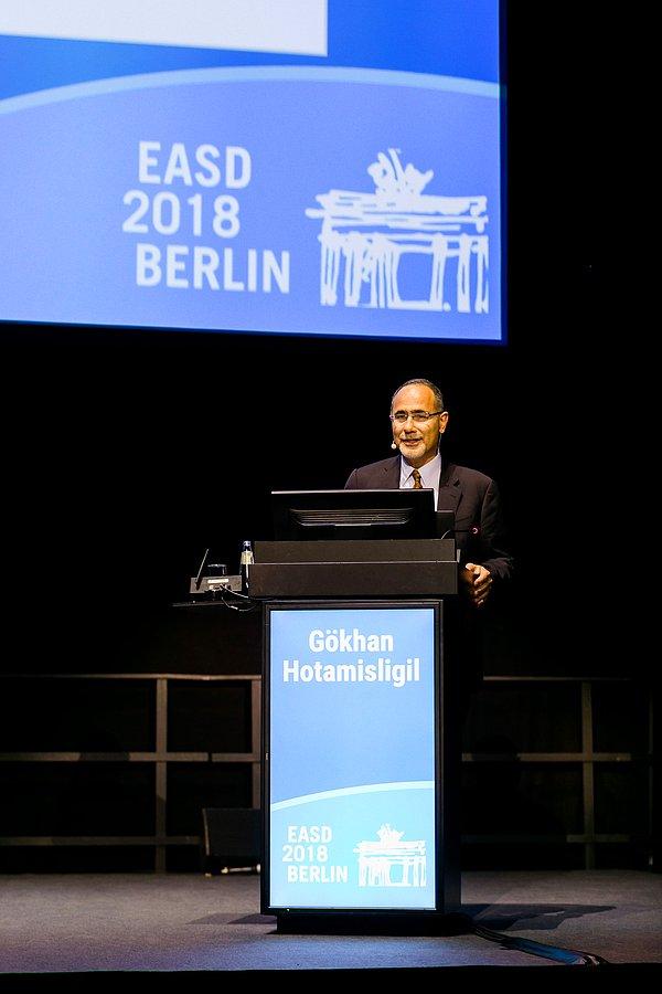Prof. Dr. Hotamışlıgil'in Berlin'de gerçekleştirilen 54. EASAD yıllık toplantısında ödülünü aldı.
