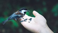 80 Inspirational And Pretty Nature Quotes That Will Give You The Power To Survive