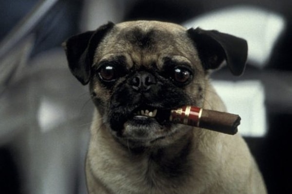 1. Итак, начнем. Из какого фильма этот персонаж?