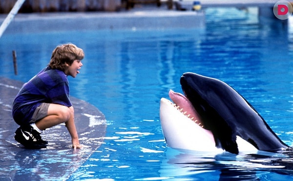 7. Как думаешь, что это за фильм?