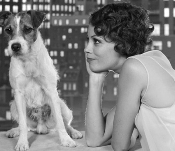 3. А этого песика помнишь?