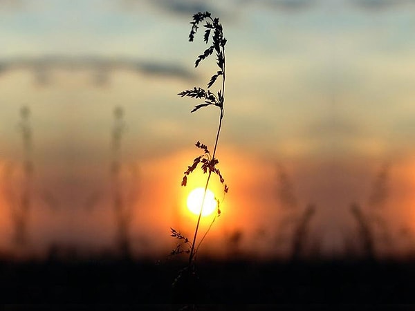 7. А есть ли смысл в самой жизни?