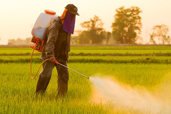 Organik ürünlere meyil etmeye bir diğer sebep olan pestisitlerde de sonuçlar karışık.