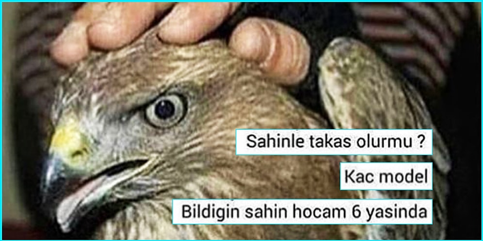 Yediden Yetmişe Ülkedeki Herkesin İçinde İrili Ufaklı Bir "Troll" Bulundurduğunun Kanıtı Olacak 17 Paylaşım