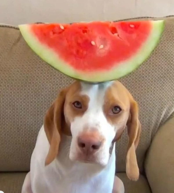 12. «Я тебе не инструмент для развлечения, Света»