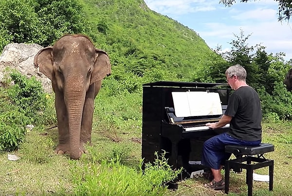 57-летний Пол Бартон родился и вырос в Англии.