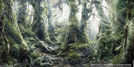 Проверьте свою внимательность и найдите на картинках всех животных