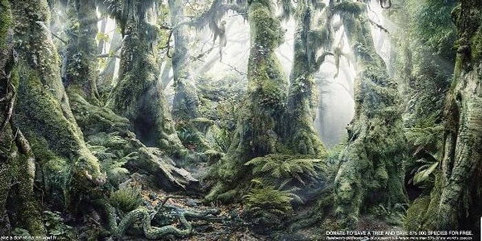 Проверьте свою внимательность и найдите на картинках всех животных