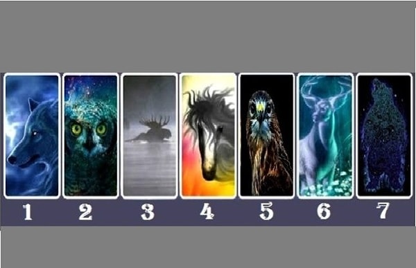 А для этого вам всего лишь необходимо выбрать дух одного из животных, представленных здесь.