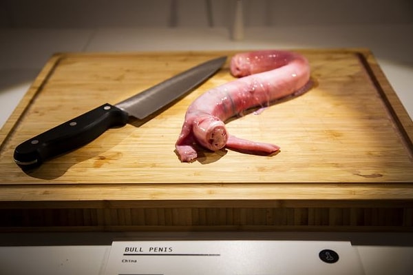 1. То, что вы видите на фотографии, - пенис быка...