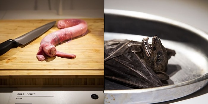 От 100-летних яиц до вина из летучей мыши: Первый в мире музей отвратительной еды