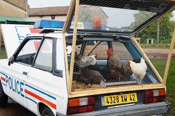1. Курятник из старой полицейской машины.