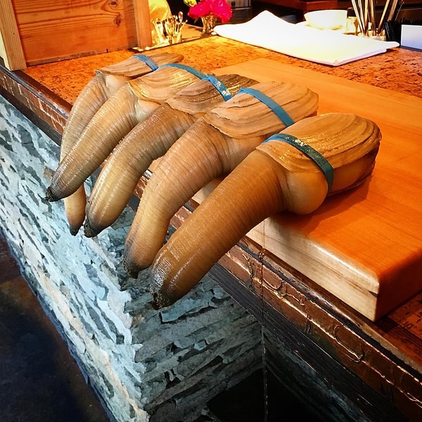 4. Гуидак (Geoduck)