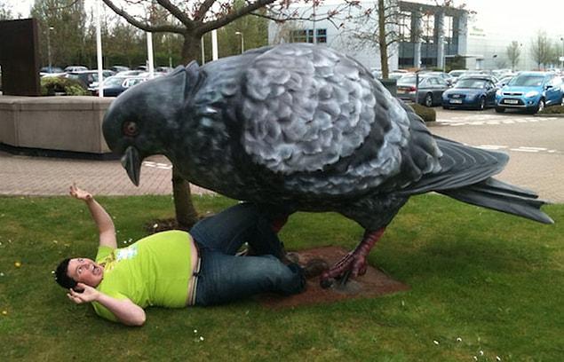 12. “Big pigeon, spare me! Some sunflower seeds are in my back pocket.”