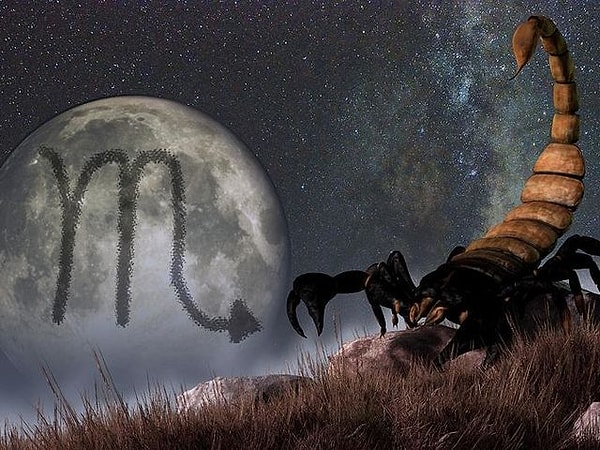 Мстительный Скорпион