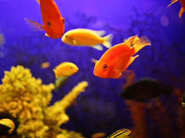 2. А на этом?