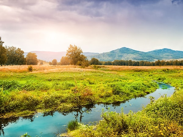 7. Какой из цветов было сразу невозможно не заметить?